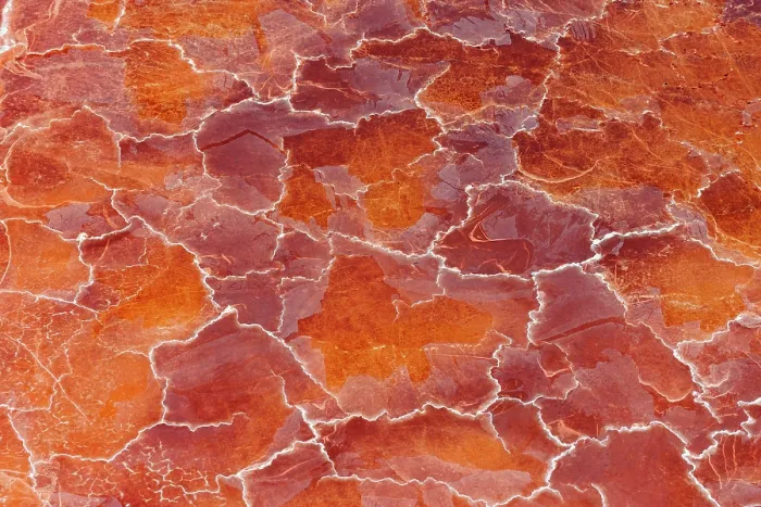 Framed Print : Soda deposits coloured by microorganisms and red algae on the surface of Lake Magadi, Rift Valley, Kenya. February, 2024 Framed Print : Soda deposits coloured by microorganisms and red algae on the surface of Lake Magadi, Rift Valley, Kenya. February, 2024