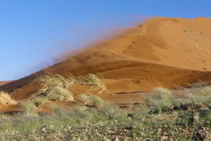 Framed Print : Sossusvlei dunes, wind in rainy season, Namib-Naukluft National Park, Namib desert