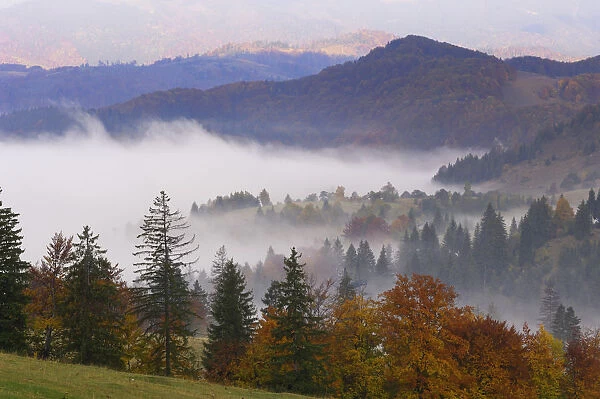 Southern Carpathian Mountains with morning mist, near Zarnesti, Transylvania, Romania