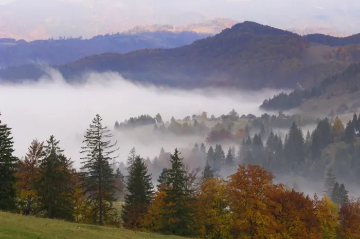 Framed Print : Southern Carpathian Mountains with morning mist, near Zarnesti, Transylvania, Romania Framed Print : Southern Carpathian Mountains with morning mist, near Zarnesti, Transylvania, Romania