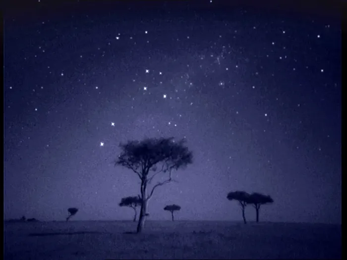 Framed Print : The Southern Cross star constellation shining above Ballenites trees in Masai Mara, Kenya Framed Print : The Southern Cross star constellation shining above Ballenites trees in Masai Mara, Kenya