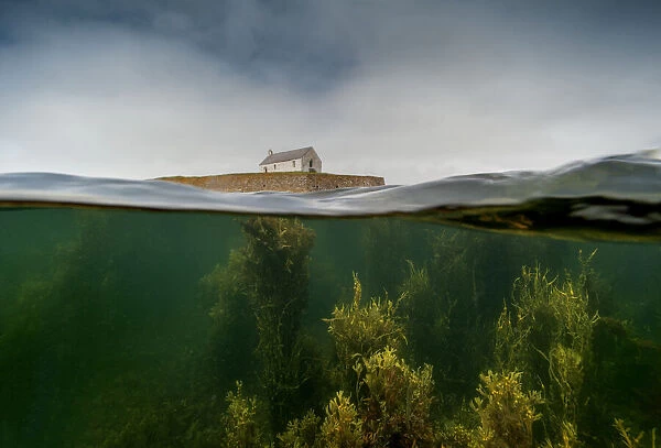 Split level image of the tiny chapel of St Cwyfan, surrounded by sea at high tide and underwater forests of mixed seaweed near Aberffraw, Anglesey, Wales, Irish Sea, UK. July