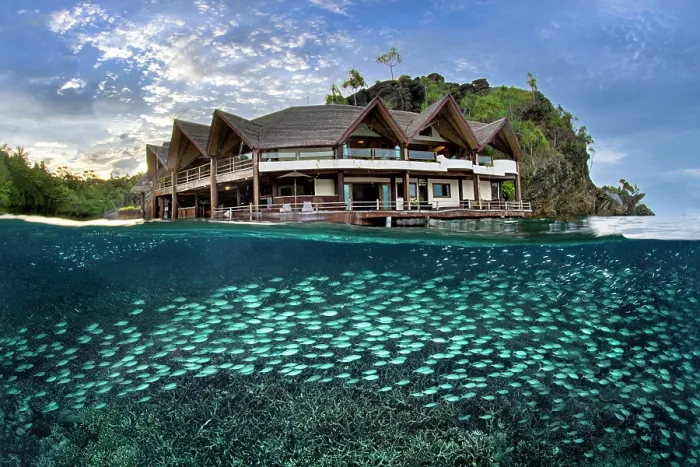 Framed Print : Split level view of school of Double-lined fusilier (Pterocaesio digramma) swimming over Corals (Acropora sp.) in front of Misool Resort, Misool, Raja Ampat, West Papua Framed Print : Split level view of school of Double-lined fusilier (Pterocaesio digramma) swimming over Corals (Acropora sp.) in front of Misool Resort, Misool, Raja Ampat, West Papua