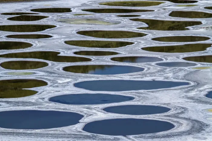 Framed Print : Spotted Lake, a saline endorheic alkali lake, a medicine lake for the Okanagan Syilx people Framed Print : Spotted Lake, a saline endorheic alkali lake, a medicine lake for the Okanagan Syilx people