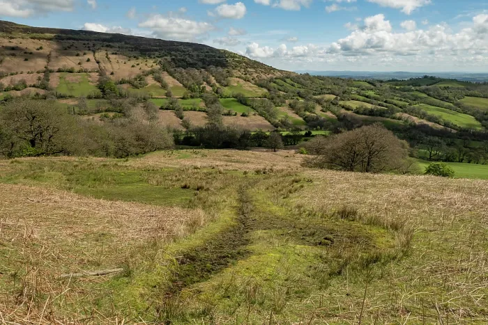 Framed Print : Spring on the Black Mountains with Sphagnum moss looking across the Olchon Valley to Black Hill  /  the Cat's Back, Herefordshire, England, UK. May, 2024