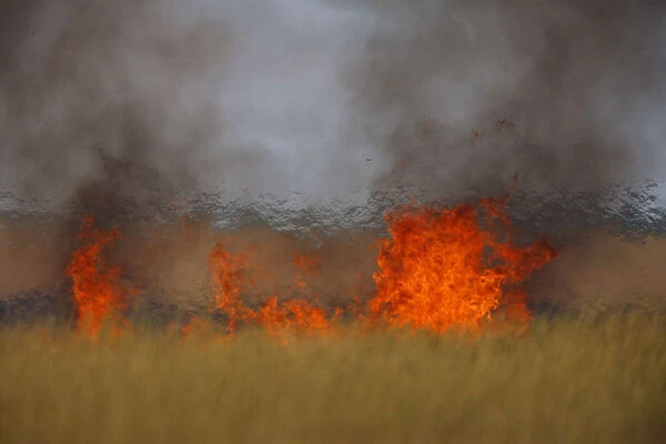 Steppe fields on fire, Bagerova Steppe, Kerch Peninsula, Crimea, Ukraine, July 2009