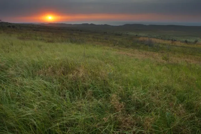 Framed Print : Steppe landscape at sunset, Bagerova Steppe, Kerch Peninsula, Crimea, Ukraine, July 2009 Framed Print : Steppe landscape at sunset, Bagerova Steppe, Kerch Peninsula, Crimea, Ukraine, July 2009