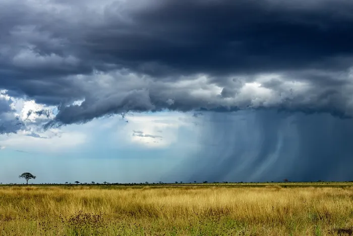 Framed Print : Storm over the plains in dry season, Tsavo East National Park, Kenya. March, 2025 Framed Print : Storm over the plains in dry season, Tsavo East National Park, Kenya. March, 2025