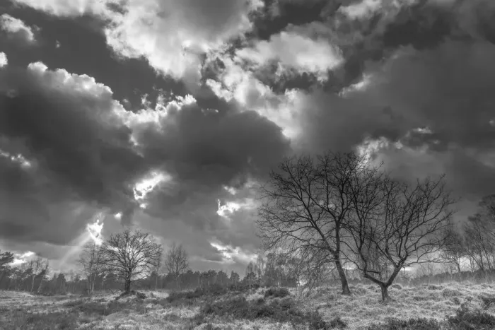 Framed Print : Stormy sky over Klein Schietveld, Brasschaat, Belgium. March 2019 Framed Print : Stormy sky over Klein Schietveld, Brasschaat, Belgium. March 2019