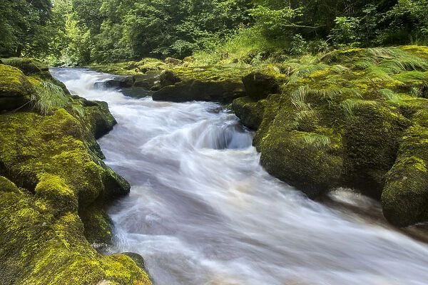 The Strid, River Wharfe, slow shutter speed showing movement of the water, Bolton Abbey Estate
