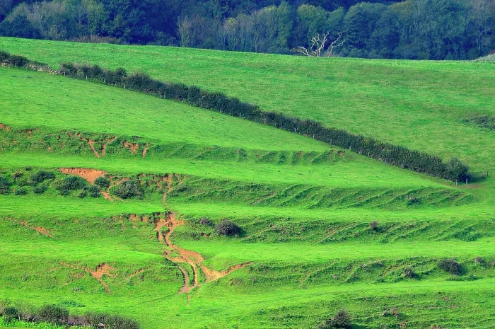 Framed Print : Strip lynchets, ancient earth terraces, in field, Loders, Dorset, England, UK. October, 2022 Framed Print : Strip lynchets, ancient earth terraces, in field, Loders, Dorset, England, UK. October, 2022