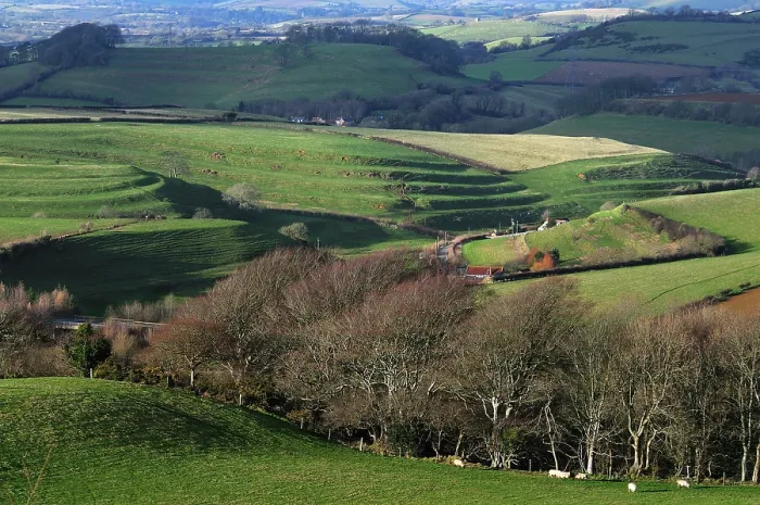 Framed Print : Strip lynchets above Loders, as seen from Shipton Hill, Dorset, England, UK. January, 2009 Framed Print : Strip lynchets above Loders, as seen from Shipton Hill, Dorset, England, UK. January, 2009