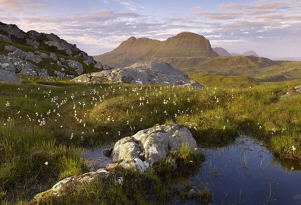 Suilven in early morning light, Coigach  /  Assynt SWT, Sutherland, Highlands, Scotland