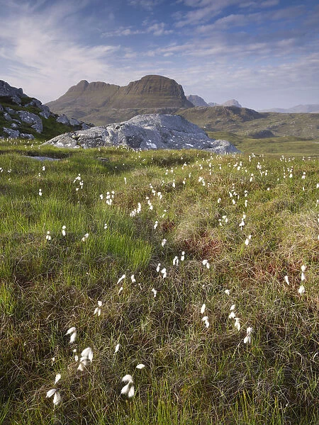Suilven, early summer morning, Coigach  /  Assynt SWT, Sutherland, Highlands, Scotland