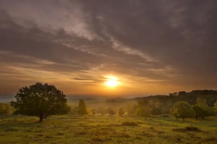 Framed Print : Sun rising over hillside with trees, Beacon Hill Country Park, The National Forest