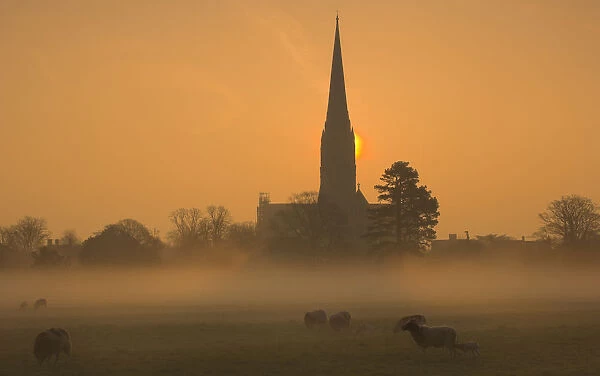 Sun rising through mist behind Salisbury Cathedral viewed across Harnham Water Meadows