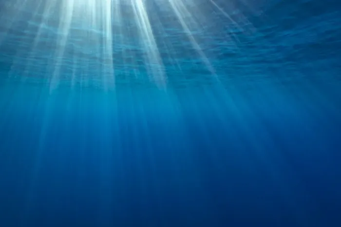 Framed Print : Sunbeams below the surface of the sea, Guadalupe Island, Baja California, Mexico Framed Print : Sunbeams below the surface of the sea, Guadalupe Island, Baja California, Mexico
