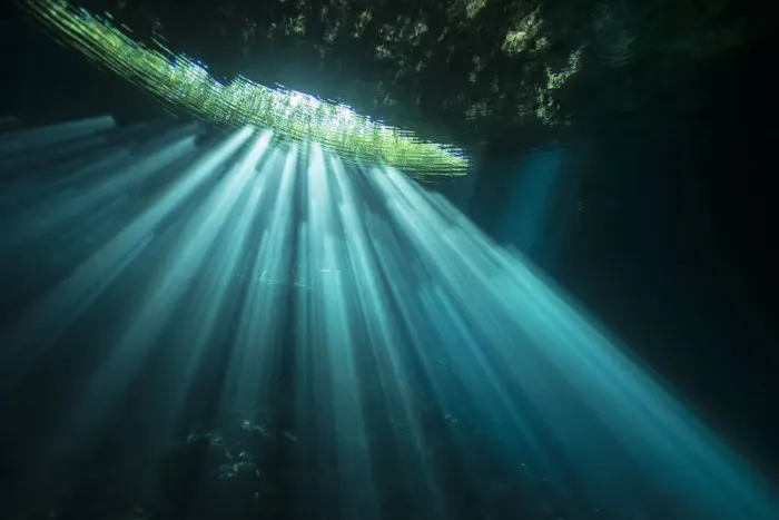 Framed Print : Sunrays in Cenote Jardin del Eden, Quintana Roo, Yucatan Peninsula, Mexico Framed Print : Sunrays in Cenote Jardin del Eden, Quintana Roo, Yucatan Peninsula, Mexico