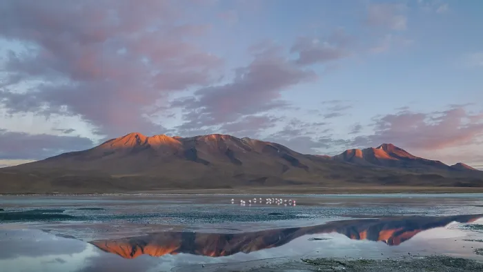 Framed Print : Sunrise over Laguna Hedionda with reflection of mountains, Altiplano, Potosi, Bolivia. September, 2024 Framed Print : Sunrise over Laguna Hedionda with reflection of mountains, Altiplano, Potosi, Bolivia. September, 2024