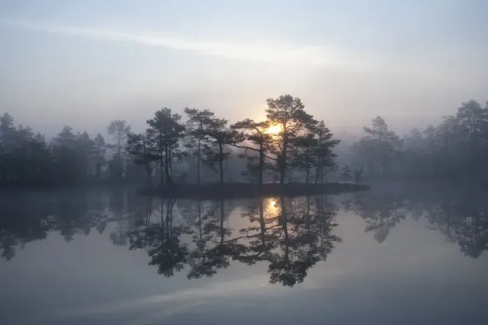 Framed Print : Sunrise over a lake in light mist, Bergslagen, Sweden, April 2009 Framed Print : Sunrise over a lake in light mist, Bergslagen, Sweden, April 2009