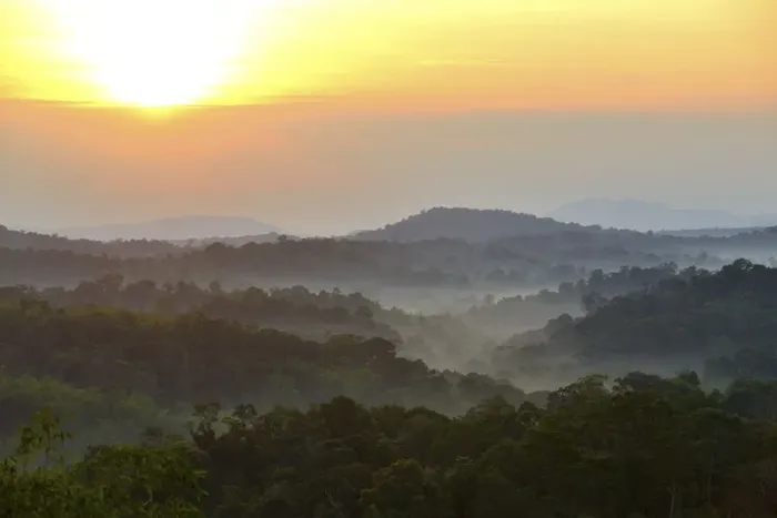 Framed Print : Sunrise over primary rainforest forest, Thailand, November 2014 Framed Print : Sunrise over primary rainforest forest, Thailand, November 2014