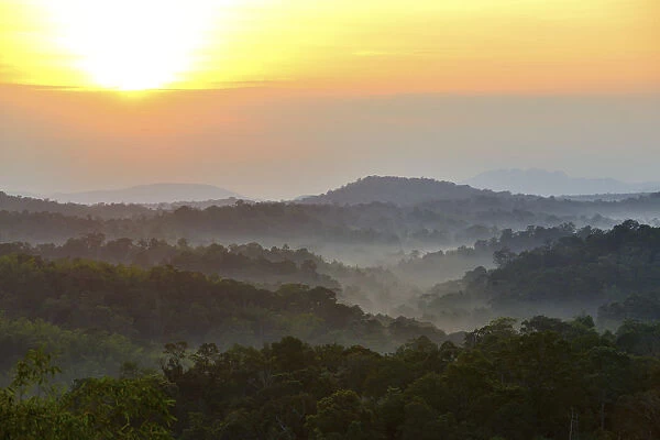 Sunrise over primary rainforest forest, Thailand, November 2014