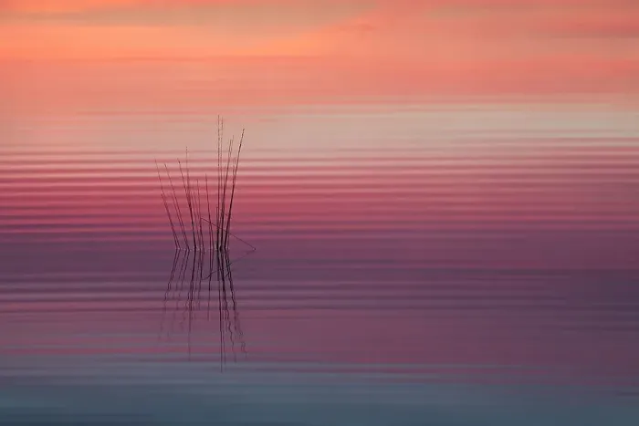 Framed Print : Sunrise reflected in water with ripples, Klein Schietveld, Brasschaat, Belgium Framed Print : Sunrise reflected in water with ripples, Klein Schietveld, Brasschaat, Belgium
