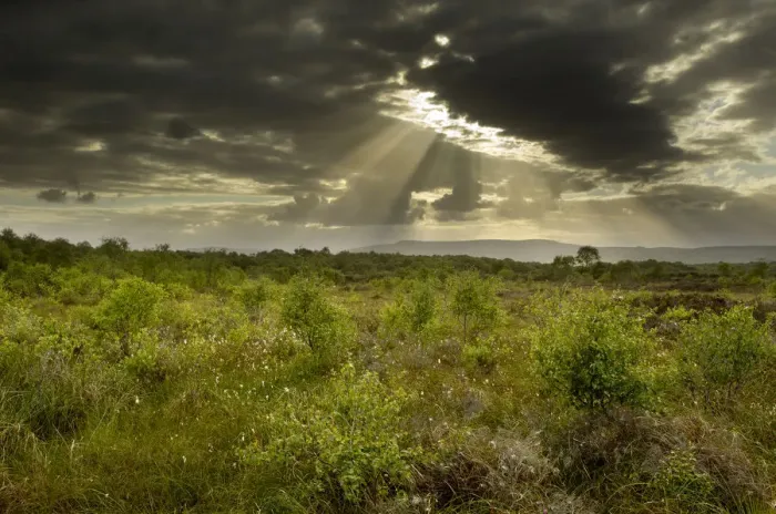 Framed Print : Suns rays shining through dark clouds, Ballynahone Bog, County Antrim, Northern Ireland Framed Print : Suns rays shining through dark clouds, Ballynahone Bog, County Antrim, Northern Ireland