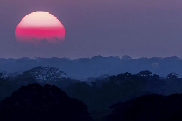 Sunset above the canopy in the Peruvian Amazon. Tambopata Reserve, Madre de Dios, Peru