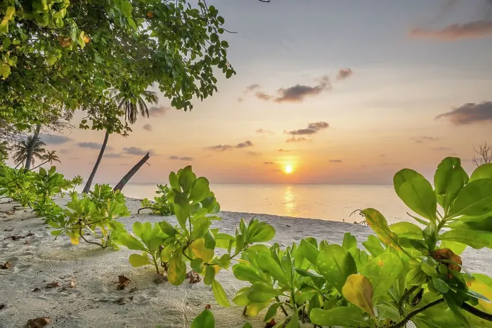 Framed Print : Sunset over the ocean viewed from beach, Dhigurah Island, South Ari Atoll, Maldives, Indian Ocean. February, 2020 Framed Print : Sunset over the ocean viewed from beach, Dhigurah Island, South Ari Atoll, Maldives, Indian Ocean. February, 2020