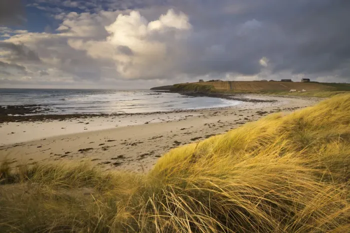 Framed Print : Taracliff Bay at dawn, Mainland, Orkney Isles, Scotland. October 2020 Framed Print : Taracliff Bay at dawn, Mainland, Orkney Isles, Scotland. October 2020