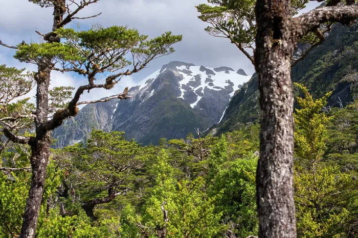 Framed Print : Temperate forest and mountain landscape, Quelat National Park, Patagonia, Chile. March, 2024 Framed Print : Temperate forest and mountain landscape, Quelat National Park, Patagonia, Chile. March, 2024