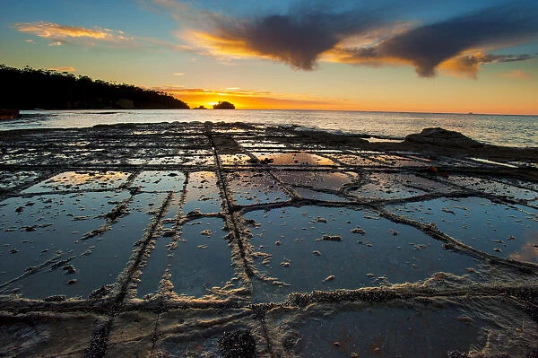 Tessellated pavement at sunset. Eagle Hawk Neck, Tasmania, Australia. Tasman Sea