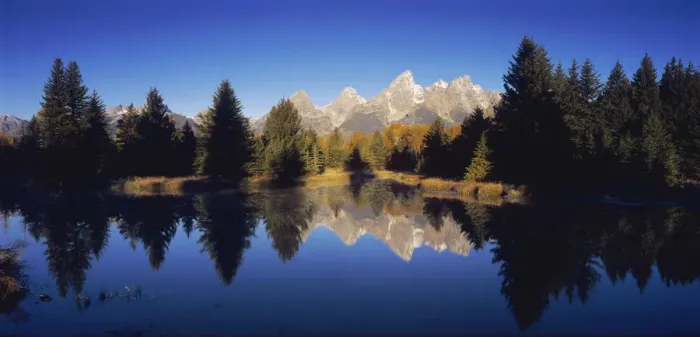 Framed Print : Teton mountains reflected in lake, Schwabacher Landing, Grand Teton NP, Wyoming, September Framed Print : Teton mountains reflected in lake, Schwabacher Landing, Grand Teton NP, Wyoming, September