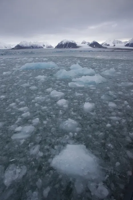 Framed Print : Thawing ice floes on the sea, Svalbard, Norway, September 2009 Framed Print : Thawing ice floes on the sea, Svalbard, Norway, September 2009