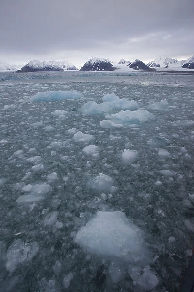 Thawing ice floes on the sea, Svalbard, Norway, September 2009