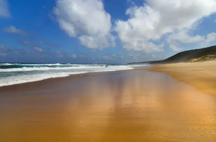 Framed Print : Thonga Beach on the coast of Indian Ocean, Maputuland, KwaZulu-Natal, South Africa, January Framed Print : Thonga Beach on the coast of Indian Ocean, Maputuland, KwaZulu-Natal, South Africa, January