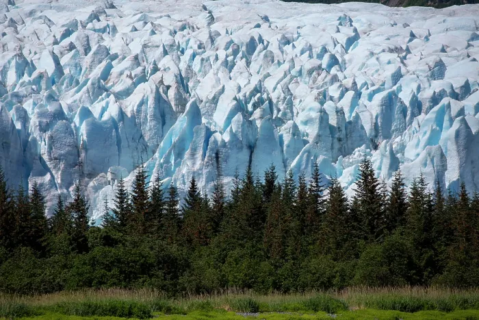 Framed Print : Tidewater front of the Bainbridge Glacier, Prince William Sound, Alaska, USA. July, 2015 Framed Print : Tidewater front of the Bainbridge Glacier, Prince William Sound, Alaska, USA. July, 2015