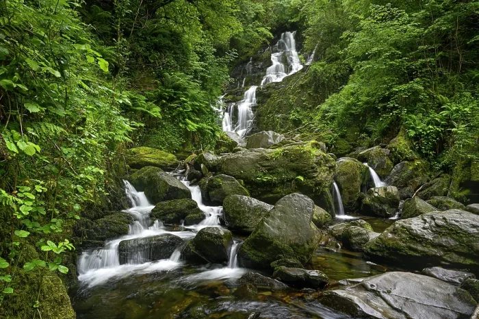 Framed Print : Torc Waterfall, Killarney National Park, Iveragh peninsula, County Kerry, Republic of Ireland. June, 2022 Framed Print : Torc Waterfall, Killarney National Park, Iveragh peninsula, County Kerry, Republic of Ireland. June, 2022