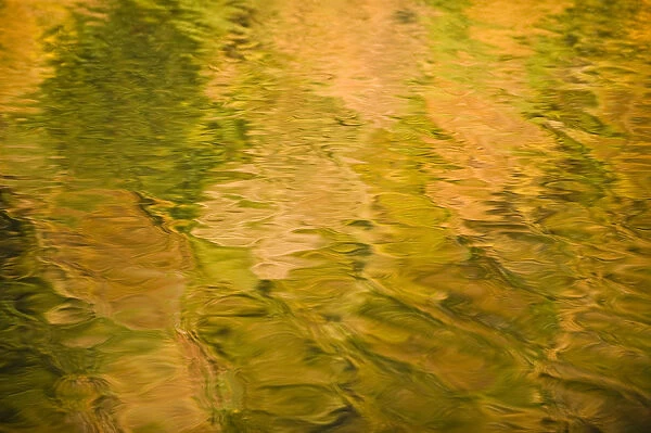 Tree colours reflected on the Galovac water surface, Upper Lakes, Plitvice Lakes NP