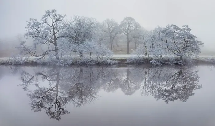 Framed Print : Trees coated in hoar frost reflected in the River Derwent. Chatsworth, Peak District National Park, UK, December Framed Print : Trees coated in hoar frost reflected in the River Derwent. Chatsworth, Peak District National Park, UK, December