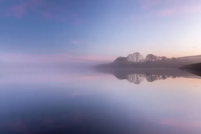 Framed Print : Trees and reflections at Lower Tamar Lakes on a misty morning, North Cornwall / Devon border, UK. January 2013 Framed Print : Trees and reflections at Lower Tamar Lakes on a misty morning, North Cornwall / Devon border, UK. January 2013
