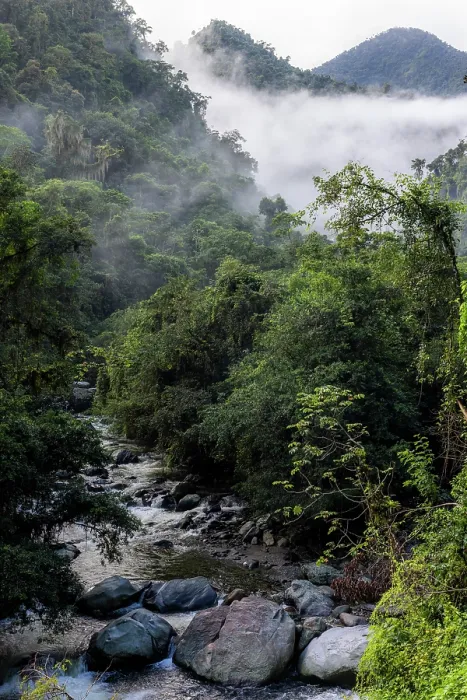 Framed Print : Tributary of the Buritaca river surrounded by rainforest, along the route towards Ciudad Perdida, Sierra Nevada de Santa Marta, Colombia. December, 2021 Framed Print : Tributary of the Buritaca river surrounded by rainforest, along the route towards Ciudad Perdida, Sierra Nevada de Santa Marta, Colombia. December, 2021