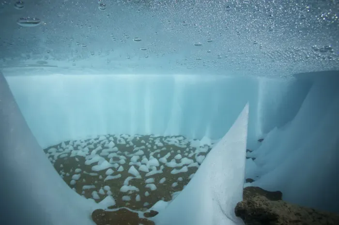 Framed Print : Underwater in a cryoconite hole, a hole formed by windblown dust and particles which Framed Print : Underwater in a cryoconite hole, a hole formed by windblown dust and particles which