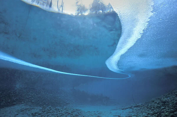 Underwater landscape beneath ice in Aare river tributary Spring Creek, Canton of Berne