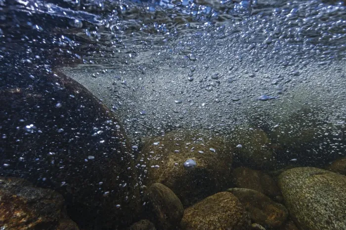 Framed Print : Underwater view of the Temnik River, Lake Baikal, Baikalsky Reserve, Siberia, Russia. May Framed Print : Underwater view of the Temnik River, Lake Baikal, Baikalsky Reserve, Siberia, Russia. May