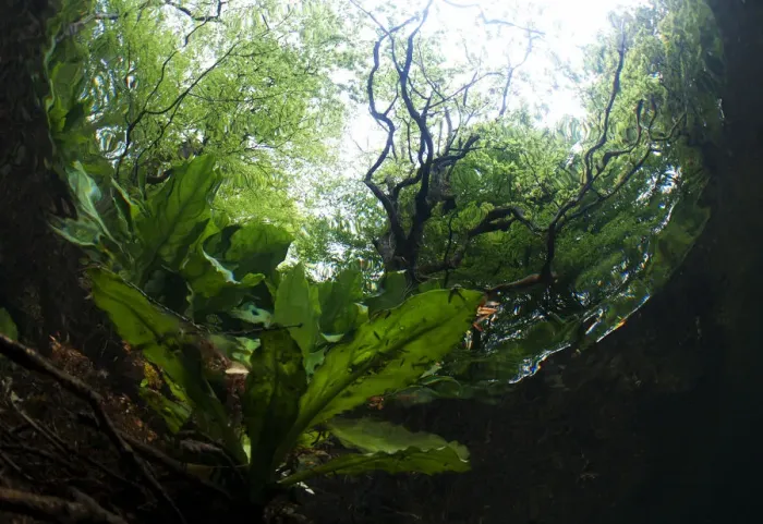Framed Print : An underwater view of a woodland stream, River Glaslyn, Snowdonia NP, Gwynedd, Wales Framed Print : An underwater view of a woodland stream, River Glaslyn, Snowdonia NP, Gwynedd, Wales