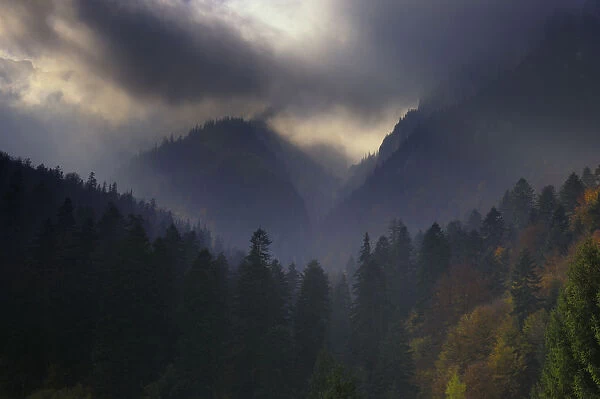 Valea Crapaturii and Rock of the King, Piatra Craiului National Park, Transylvania