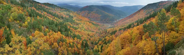 Framed Print : Valley with autumnal forest in the Estrela Mountain Range, Portugal, November 2014 Framed Print : Valley with autumnal forest in the Estrela Mountain Range, Portugal, November 2014