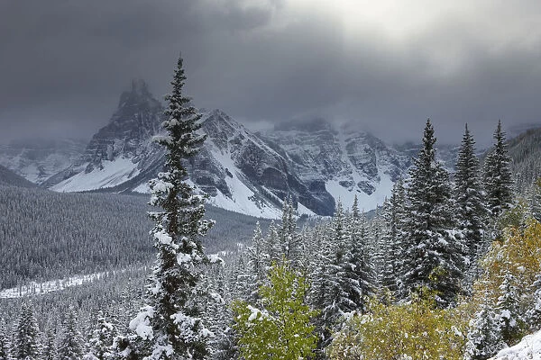 The Valley of the Ten Peaks, after recent snowfall, Banff National Park, Alberta, Canada